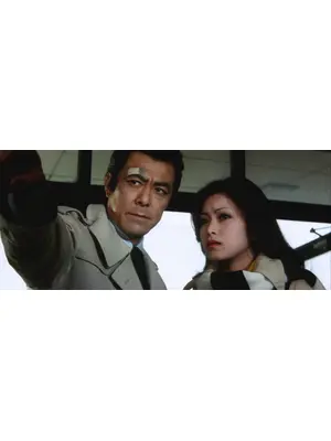 怒れ毒蛇 目撃者を消せ