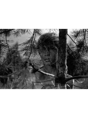 僕の村は戦場だった　デジタル・リマスター版