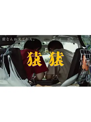 猿猿
