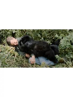 デヴィッド・アッテンボロー: ゴリラが紡ぐ物語