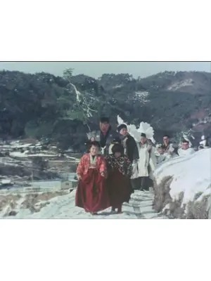 ゆきははなである 新野の雪まつり