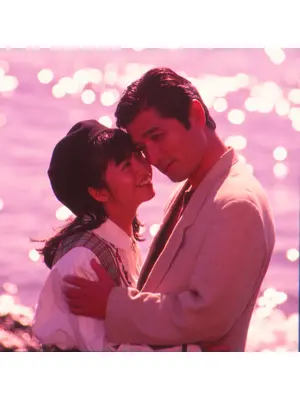 飛ぶ夢をしばらく見ない