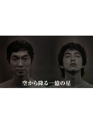 空から降る一億の星