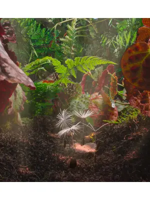 ダンデライオンズ・オデッセイ