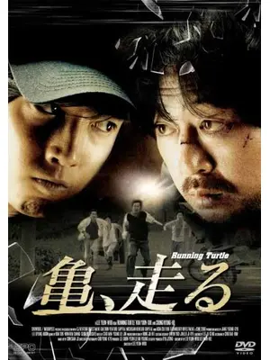 亀、走る