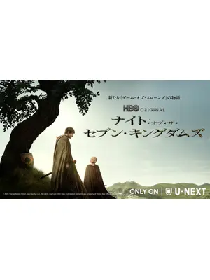 ナイト・オブ・ザ・セブン・キングダムズ