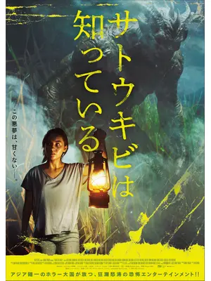 サトウキビは知っている