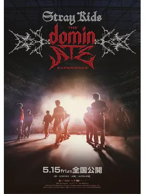 Stray Kids : The dominATE Experience