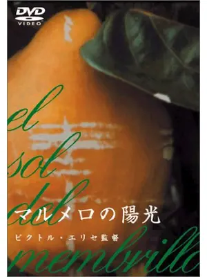 マルメロの陽光