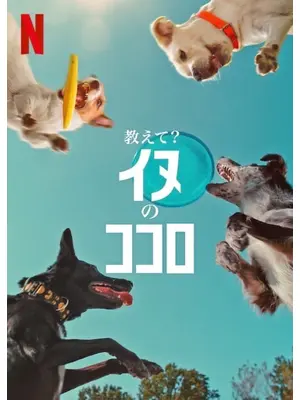 教えて? イヌのココロ