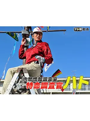 内閣情報調査室　特命調査官・ハト