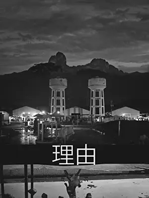 理由