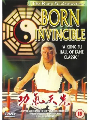 ドラゴン太極拳／必殺ヤングマスター！無敵の金魔王・銀魔王を倒せ