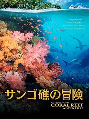 サンゴ礁の冒険