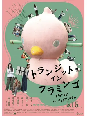 トランジット・イン・フラミンゴ