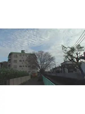 伊丹 2009 年初夏―晩秋