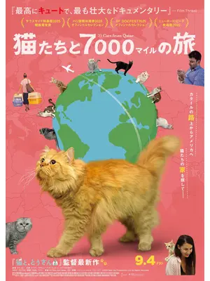 猫たちと7000マイルの旅