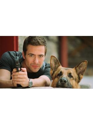 レックス～ウィーン警察シェパード犬刑事～ シーズン8