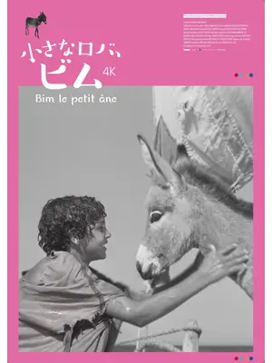 ⼩さなロバ、ビム 4K