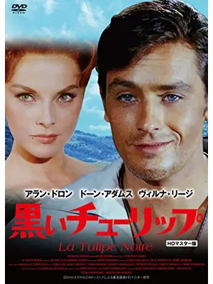 黒いチューリップ