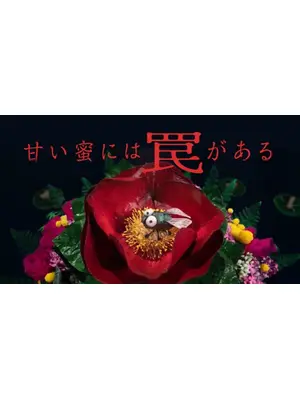 甘い蜜には罠がある