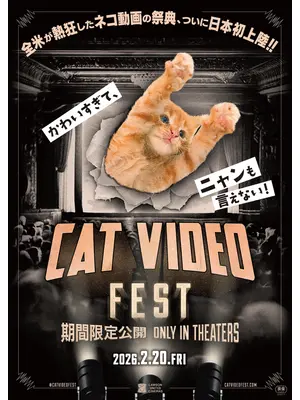 CatVideoFest