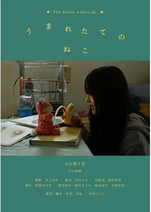 うまれたてのねこ
