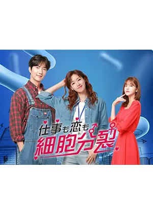 仕事も恋も細胞分裂