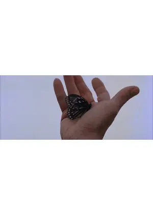 蝶変