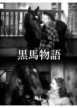 黒馬物語／ブラック・ビューティー
