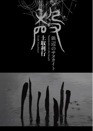 浜辺のサヌカイト