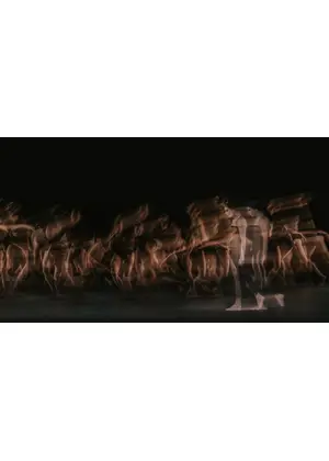 英国ロイヤル・バレエ＆オペラ in シネマ 2025/26 ロイヤル・バレエ『ウルフ・ワークス』