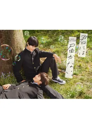 君には届かない。