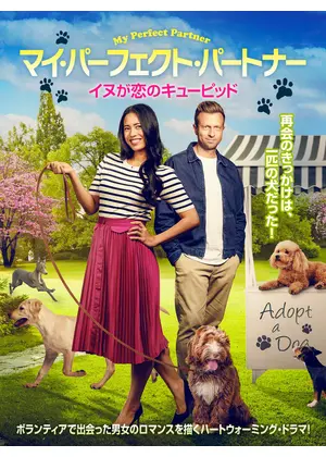 マイ・パーフェクト・パートナー　イヌが恋のキューピッド