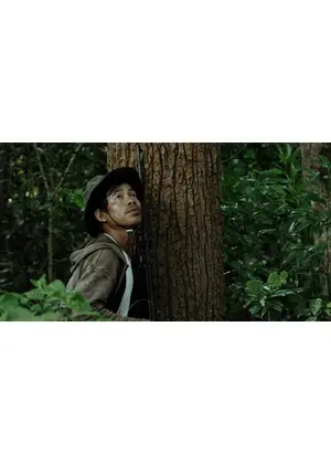 私たちは森の果実
