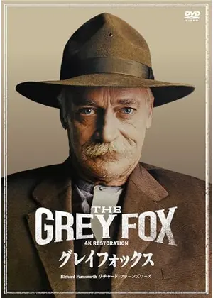 グレイフォックス