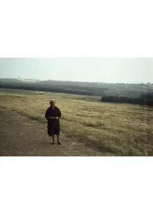 豊穣な記憶
