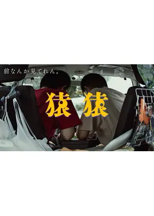 猿猿