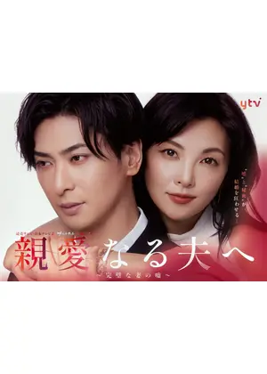 親愛なる夫へ～完璧な妻の嘘～