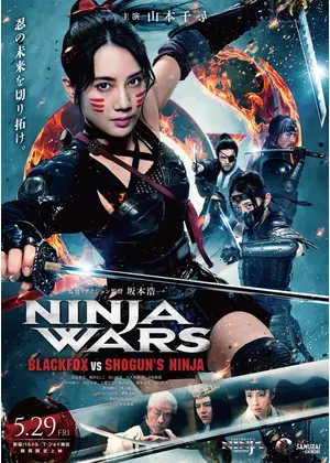 NINJA WARS ～BLACKFOX VS SHOGUN'S NINJA～