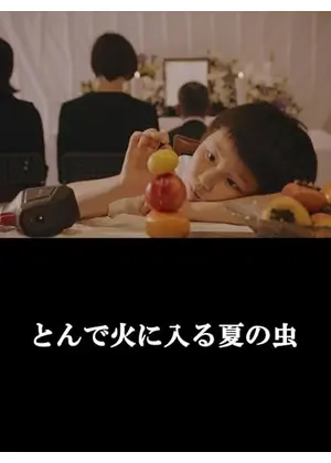 とんで火に入る夏の虫