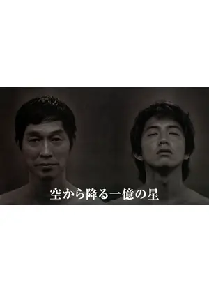 空から降る一億の星