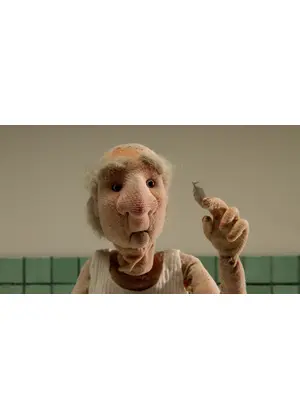 マーマレーション