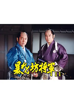 暴れん坊将軍XI