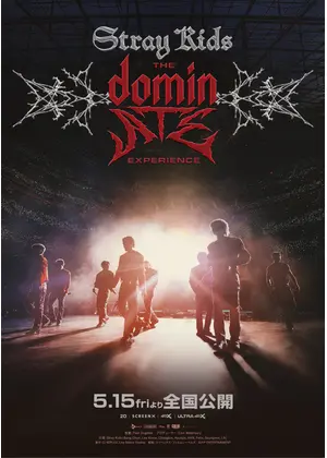 Stray Kids : The dominATE Experience