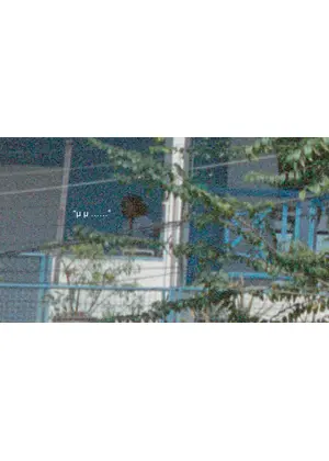 バンコクでゴーストになる⽅法