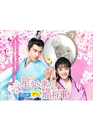 星から来た猫将軍