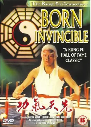ドラゴン太極拳／必殺ヤングマスター！無敵の金魔王・銀魔王を倒せ