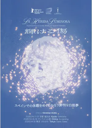 輝ける傷（スペインでの休暇をめぐるかなり鮮明な白昼夢）