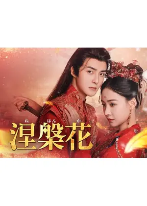 涅槃花